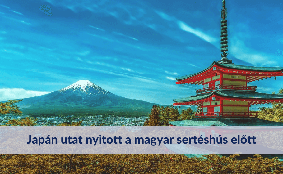 Japán utat nyitott a magyar sertéshús előtt