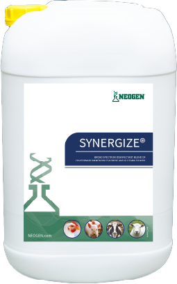 Synergize (25 kg) istálló felületfertőtlenítő szer kannában